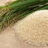Рисовых отрубей, масло рафинированное