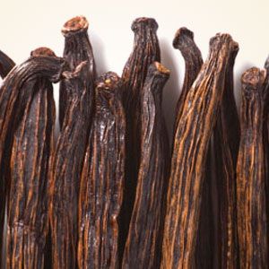 Ваниль стручковая, ароматическое масло Vanilla Bean