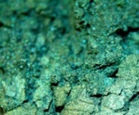 Зеленый темный, пигмент (микка) перламутровый сухой